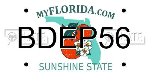 BDEP56 Florida License Plate