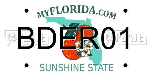 BDER01 Florida License Plate