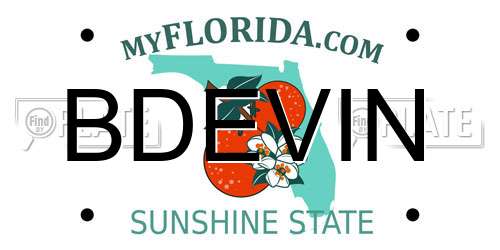BDEVIN Florida License Plate