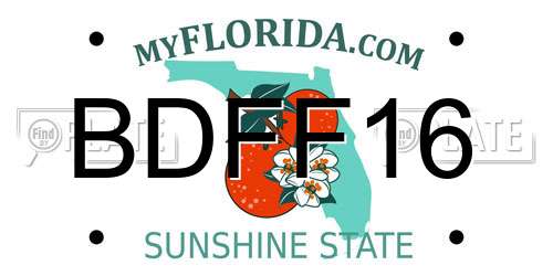 BDFF16 Florida License Plate