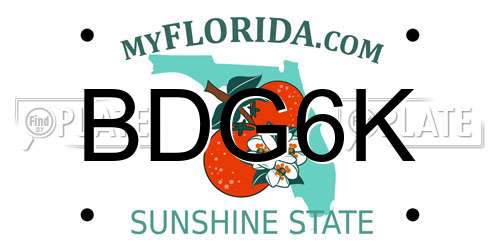 BDG6K Florida License Plate