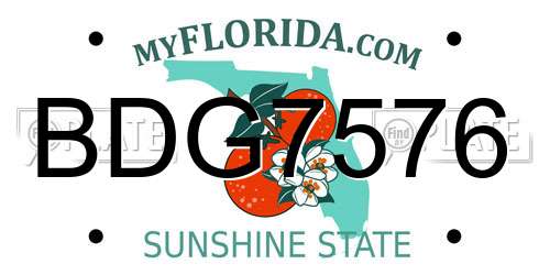 BDG7576 Florida License Plate