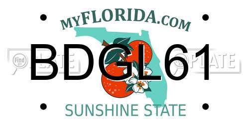BDGL61 Florida License Plate