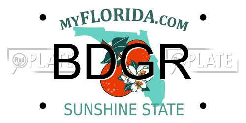 BDGR Florida License Plate