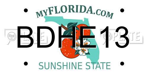 BDHE13 Florida License Plate