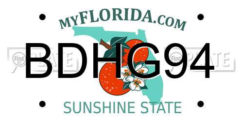 BDHG94 Florida License Plate