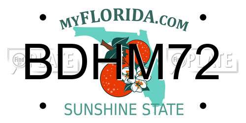 BDHM72 Florida License Plate