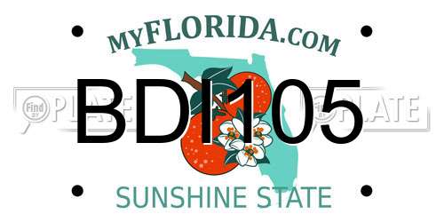 BDI105 Florida License Plate