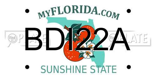 BDI22A Florida License Plate