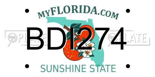 BDI274 Florida License Plate