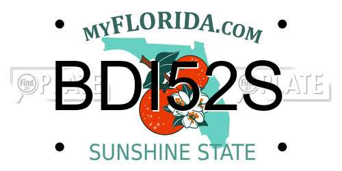BDI52S Florida License Plate