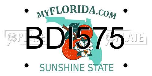 BDI575 Florida License Plate