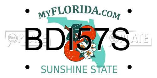 BDI57S Florida License Plate