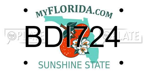 BDI724 Florida License Plate