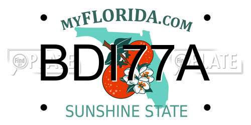BDI77A Florida License Plate