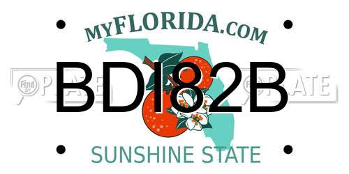 BDI82B Florida License Plate