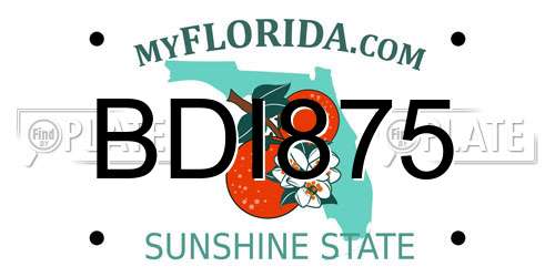 BDI875 Florida License Plate