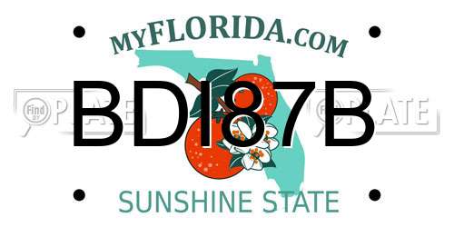 BDI87B Florida License Plate
