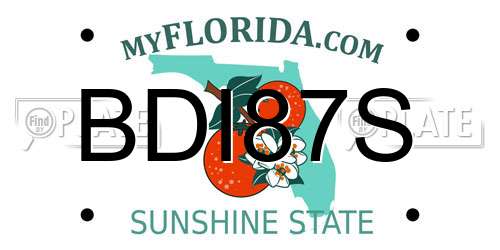 BDI87S Florida License Plate