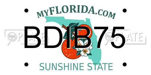 BDIB75 Florida License Plate