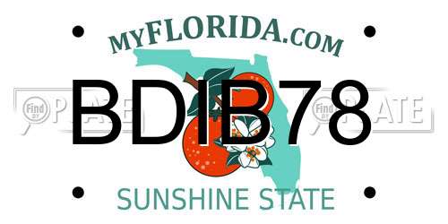 BDIB78 Florida License Plate