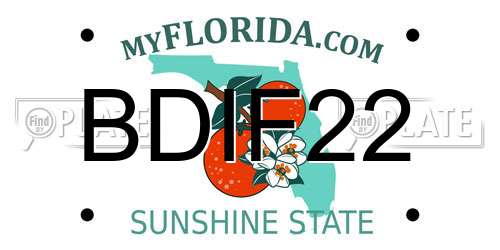 BDIF22 Florida License Plate