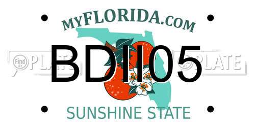 BDII05 Florida License Plate