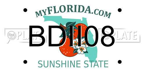 BDII08 Florida License Plate