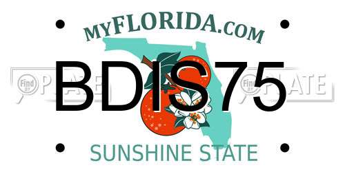 BDIS75 Florida License Plate