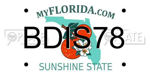 BDIS78 Florida License Plate