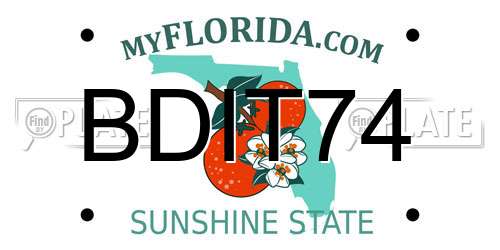 BDIT74 Florida License Plate