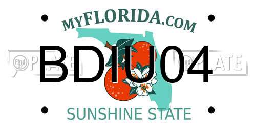 BDIU04 Florida License Plate