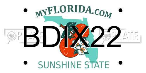 BDIX22 Florida License Plate