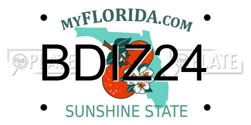 BDIZ24 Florida License Plate