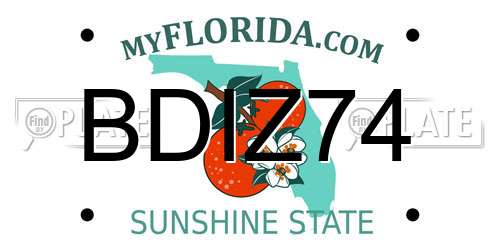 BDIZ74 Florida License Plate