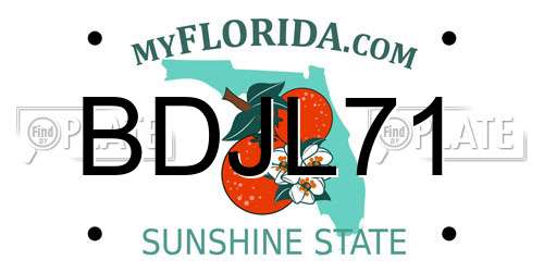 BDJL71 Florida License Plate