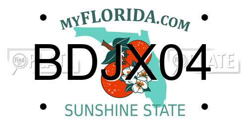BDJX04 Florida License Plate