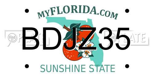 BDJZ35 Florida License Plate