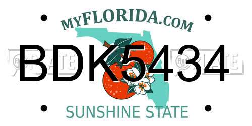 BDK5434 Florida License Plate