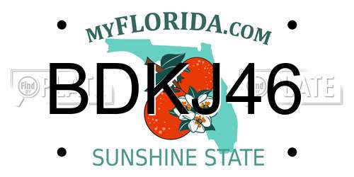 BDKJ46 Florida License Plate