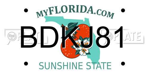 BDKJ81 Florida License Plate