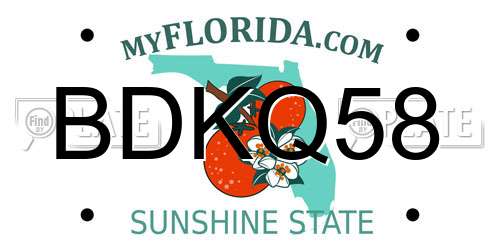 BDKQ58 Florida License Plate