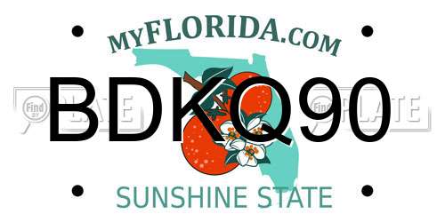 BDKQ90 Florida License Plate