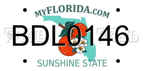 BDL0146 Florida License Plate