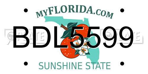 BDL5599 Florida License Plate