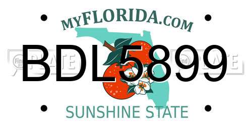 BDL5899 Florida License Plate