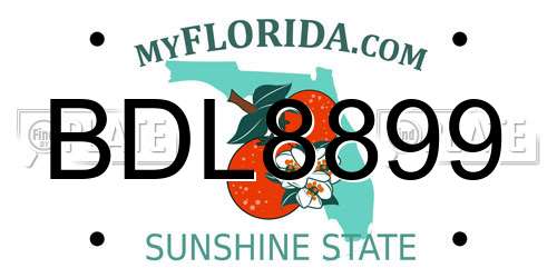 BDL8899 Florida License Plate