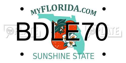 BDLE70 Florida License Plate