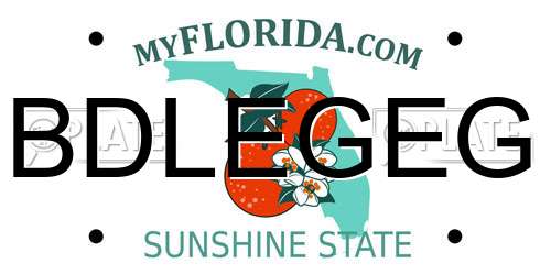 BDLEGEG Florida License Plate
