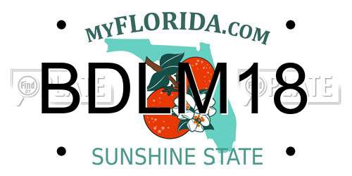 BDLM18 Florida License Plate
